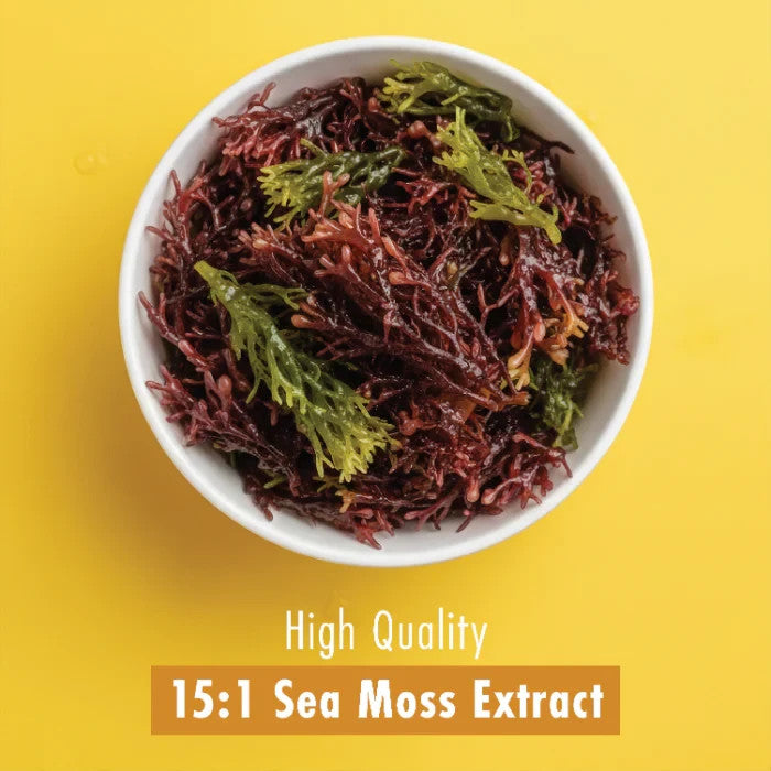 Refined Nutrition Ultra Sea Moss 6000mg